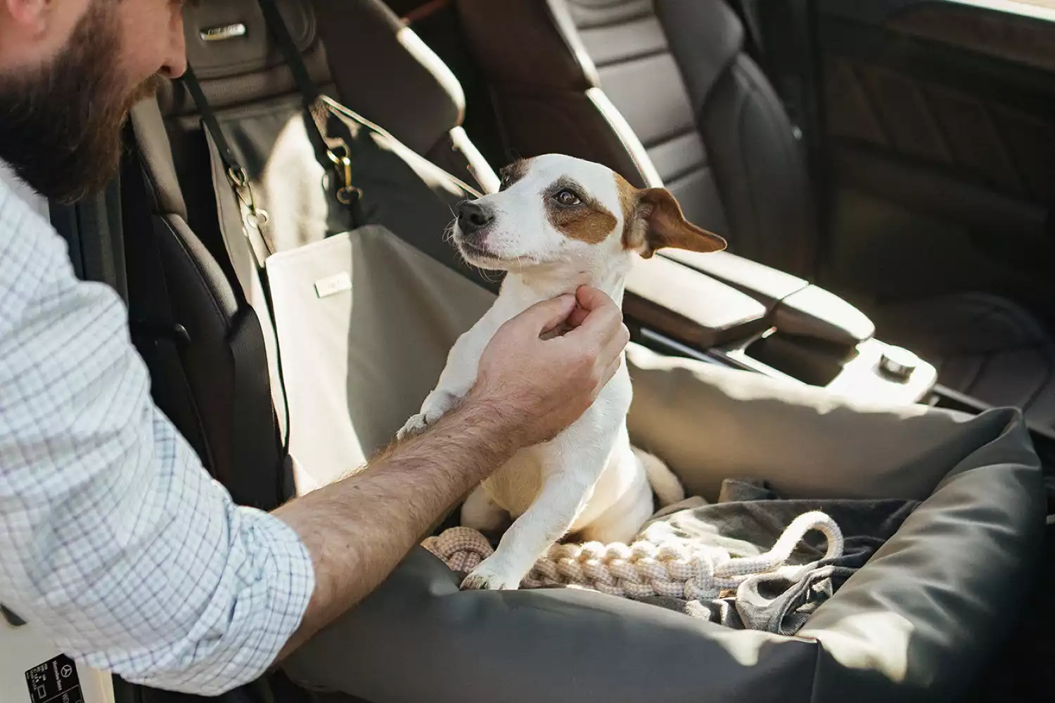 Chevrolet Tahoe Dog Car Seat for Bichons Frises